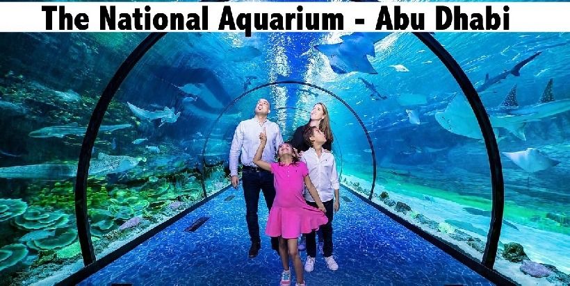 The National Aquarium Abu Dhabi - General Admission or Beyond the Glass Tickets