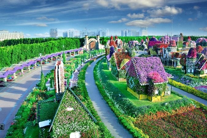 Dubai Butterfly Garden (AED55) or Dubai Miracle Garden (AED95) - Open Dated & Skip the Queue Tickets - Global Village Combo Available