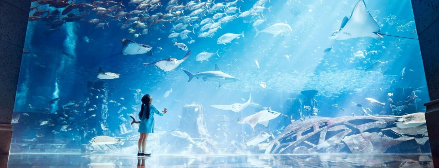 Lost World Aquarium at Aquaventure World (Atlantis) - Dated Tickets